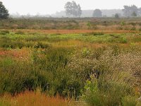 NL, Overijssel, Rijssen-Holten 6, Foto Fitis-Sytske Dijksen